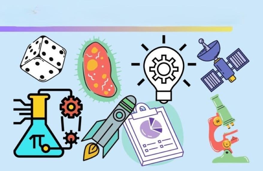 international stem day