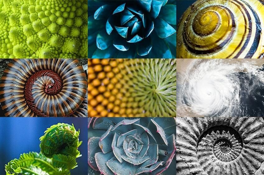 natures maths