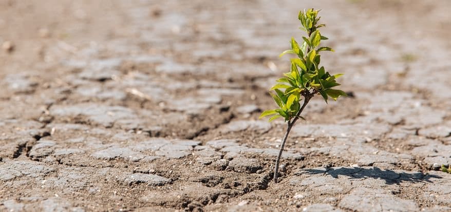 climate change 2 1 climate change 2 1