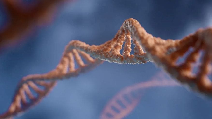Genetic Engineering