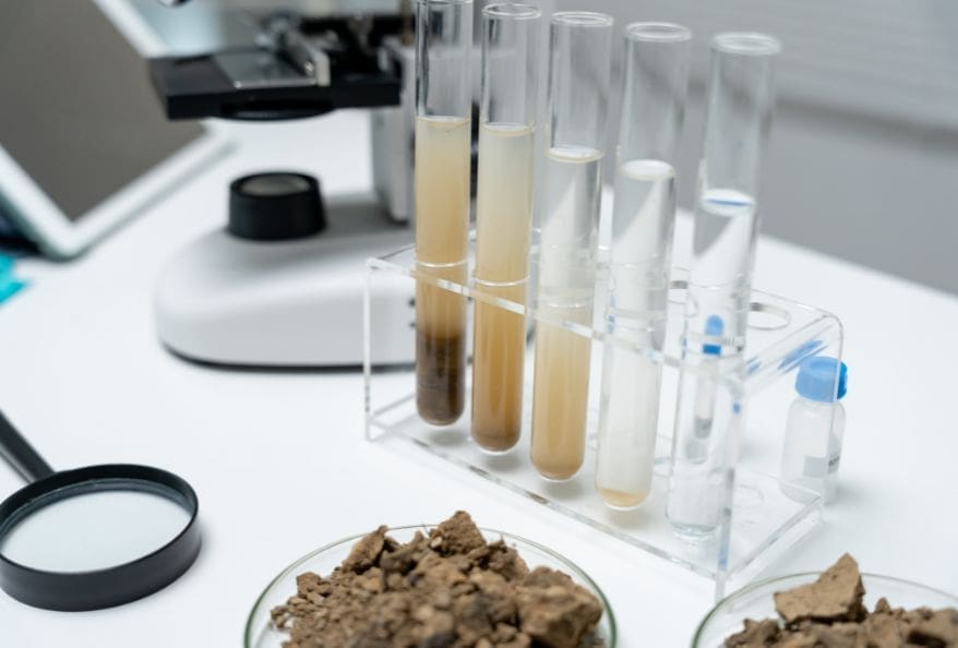 Environmental Risk Assessment in Toxicity Evaluation