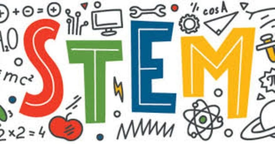 stem day feture image