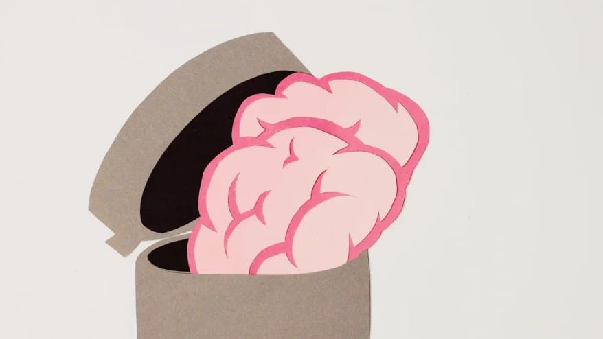 brain and nervous system overview
