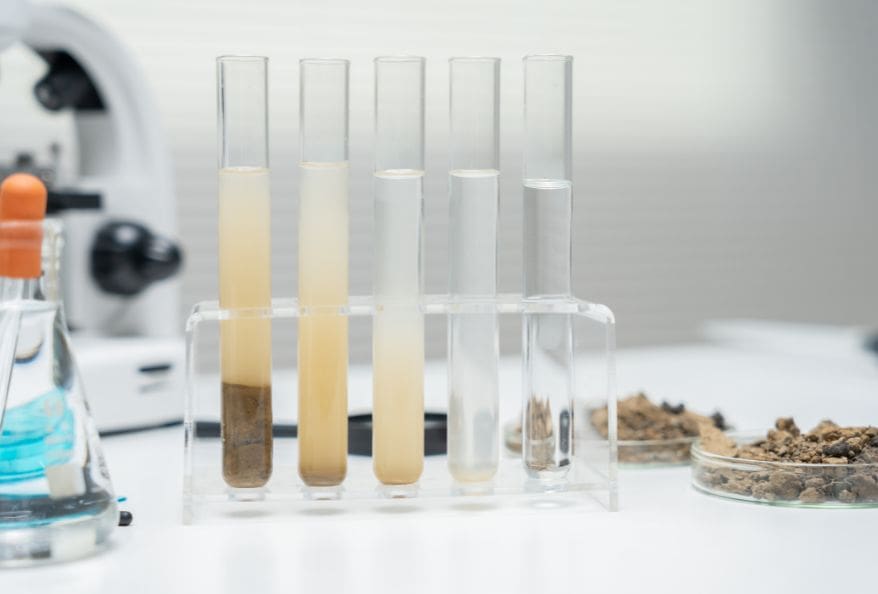 Bioaccumulation Student Experiments in the Classroom