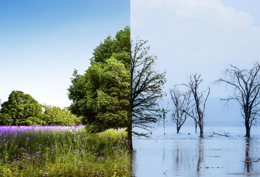 Climate Change Case Studies